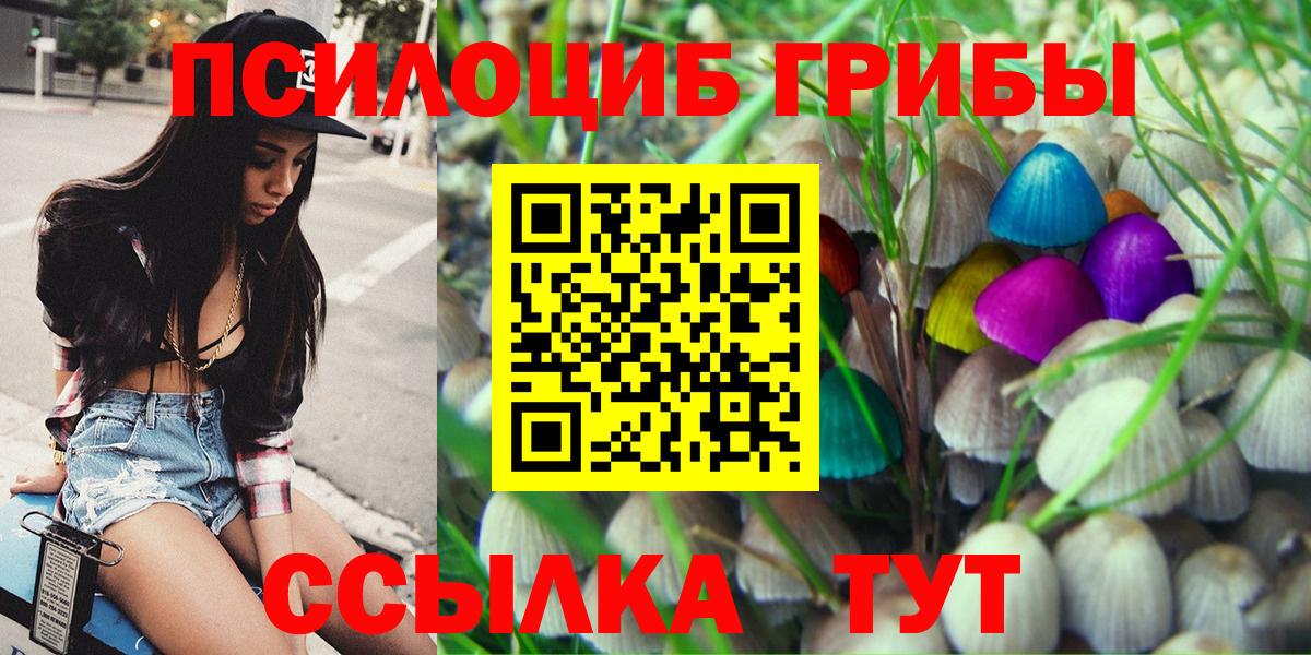 Галлюциногенные грибы прущие грибы Аксай