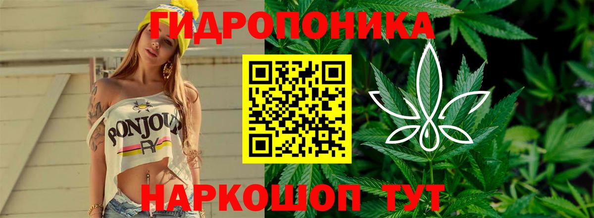 Канабис AK-47 Аксай